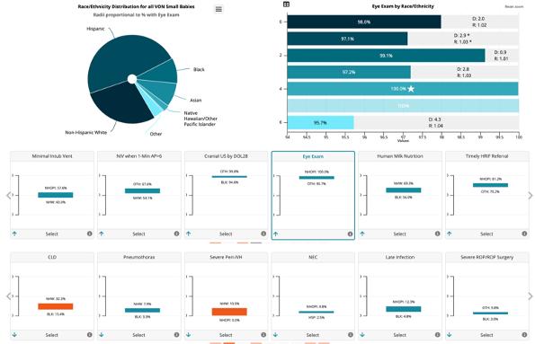 Snapshot of Health Equity Dashboard