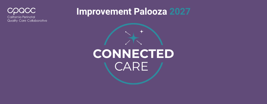 Logo for Improvement Palooza 2027. Features a spark with 3 lines